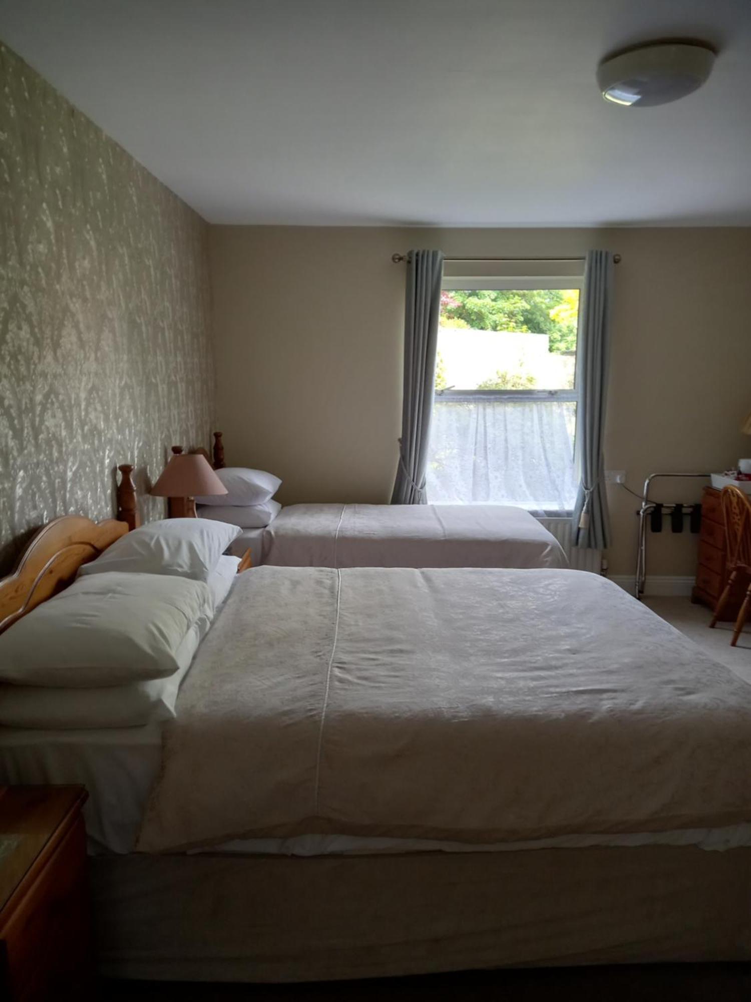 Carraig Rua Bed & Breakfast คิลเคนนี ภายนอก รูปภาพ
